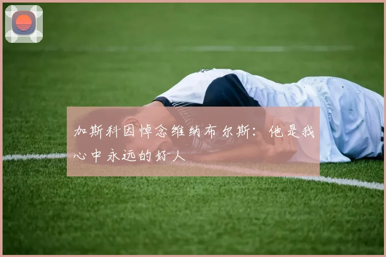 加斯科因悼念维纳布尔斯：他是我心中永远的好人