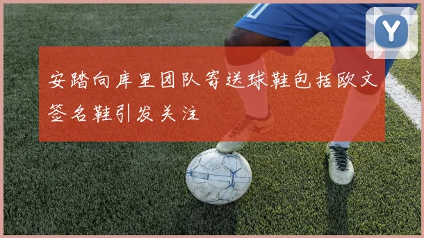 安踏向库里团队寄送球鞋包括欧文签名鞋引发关注