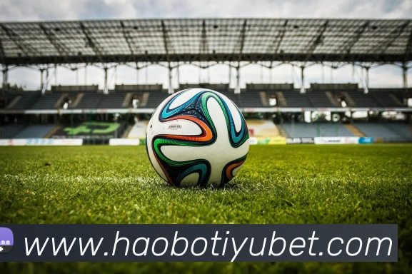 好博体育平台生态图